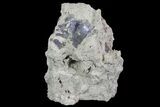 Purple/Gray Fluorite Cluster - Marblehead Quarry Ohio #81196-2